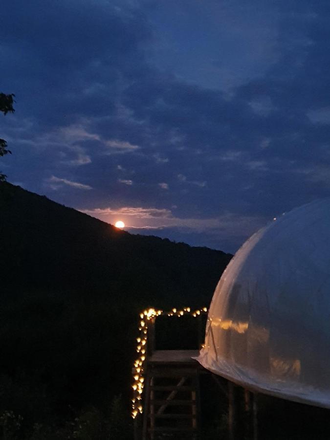 Galesu Sunrise Glamping Retreat酒店 外观 照片
